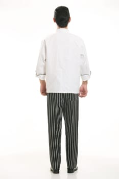 Wearing all kinds of clothing chef dietitian in front of white background