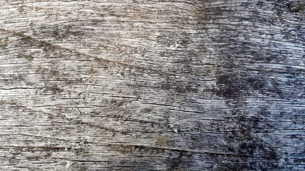 Old gray wooden texture close up. Flat lay, copy space, empty gray background for design