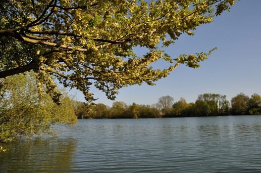 Banks of the Seine at Elbeuf in Normandy