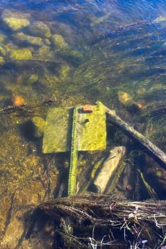 An old sign thrown into water at a shoreline.
