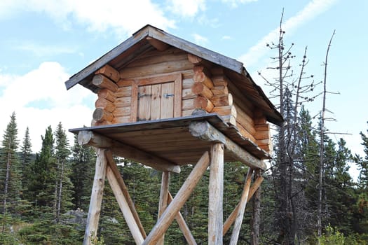 A cache used to keep meat up high from predators.