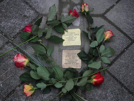 Gunter Demnig verlegte Stolpersteine mit Blumen am 11.11.2021 Magdeburg