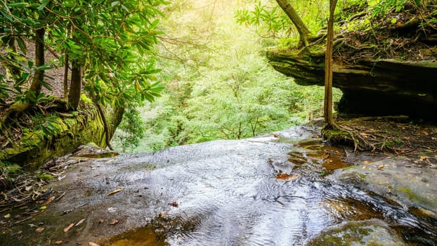View from the top of Yahoo waterfall in Southern Kentucky