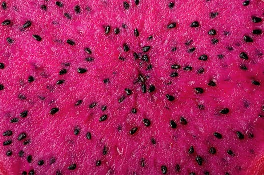 Abstract background dragon fruit slice ripe wet pitahaya cut
