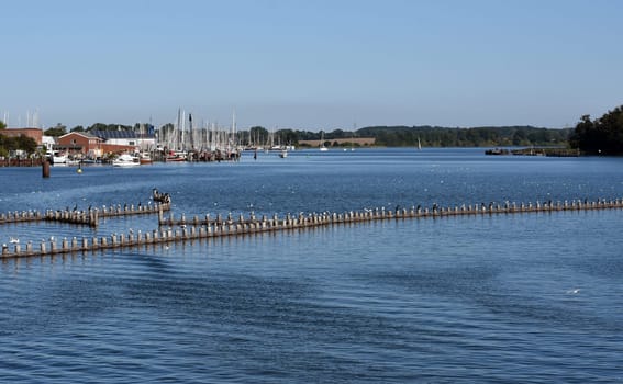 Herring fence in the town of Kappeln is a unique document of fishing in the Schlei. It is the last functioning herring fence in Europe. Herring fence in the town of Kappeln is a unique document of fishing in the Schlei. It is the last fully functional herring fence in Europe.