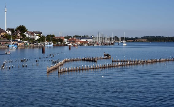 Herring fence in the town of Kappeln is a unique document of fishing in the Schlei. It is the last functioning herring fence in Europe. Herring fence in the town of Kappeln is a unique document of fishing in the Schlei. It is the last fully functional herring fence in Europe.