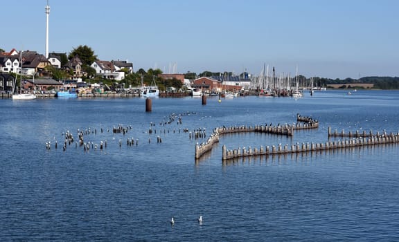 Herring fence in the town of Kappeln is a unique document of fishing in the Schlei. It is the last functioning herring fence in Europe. Herring fence in the town of Kappeln is a unique document of fishing in the Schlei. It is the last fully functional herring fence in Europe.