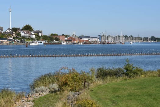Herring fence in the town of Kappeln is a unique document of fishing in the Schlei. It is the last functioning herring fence in Europe. Herring fence in the town of Kappeln is a unique document of fishing in the Schlei. It is the last fully functional herring fence in Europe.
