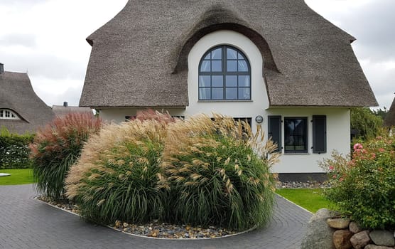 Friesenhaueser with thatched roof made of reeds. Friesenhaueser with thatched roof made of reeds.