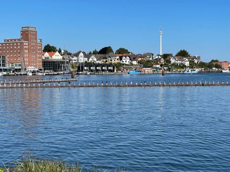 Herring fence in the town of Kappeln is a unique document of fishing in the Schlei. It is the last functioning herring fence in Europe. Herring fence in the town of Kappeln is a unique document of fishing in the Schlei. It is the last fully functional herring fence in Europe.
