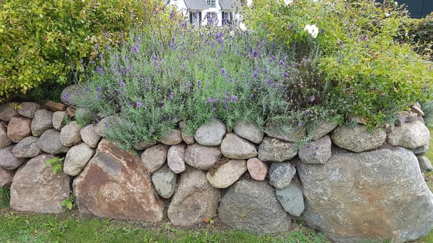Friesenwall consists of stacked boulders from the Ice Age. Friesenwall,Friezes wall,consists of stacked boulders from the Ice Age.