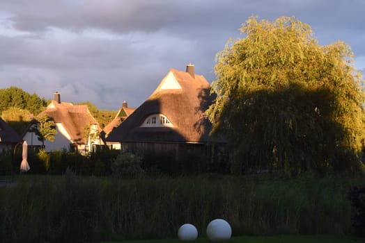 Friesenhaueser with thatched roof made of reeds. Friesenhaueser with thatched roof made of reeds.