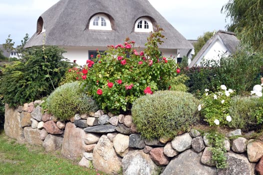 Friesenhaueser with thatched roof made of reeds. Friesenhaueser with thatched roof made of reeds.