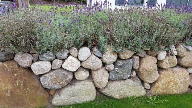 Friesenwall consists of stacked boulders from the Ice Age. Friesenwall,Friezes wall,consists of stacked boulders from the Ice Age.