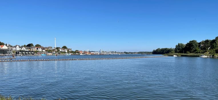 Herring fence in the town of Kappeln is a unique document of fishing in the Schlei. It is the last functioning herring fence in Europe. Herring fence in the town of Kappeln is a unique document of fishing in the Schlei. It is the last fully functional herring fence in Europe.