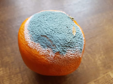 In microbiology,molds are a systematically heterogeneous group of filamentous fungi,the majority of which belong to the taxonomic groups of ascomycetes and zygomycetes. Molds,visibly also called mold,are a systematically heterogeneous group of filamentous fungi in microbiology,the majority of which belong to the taxonomic groups of the Ascomycetes and Zygomycetes.