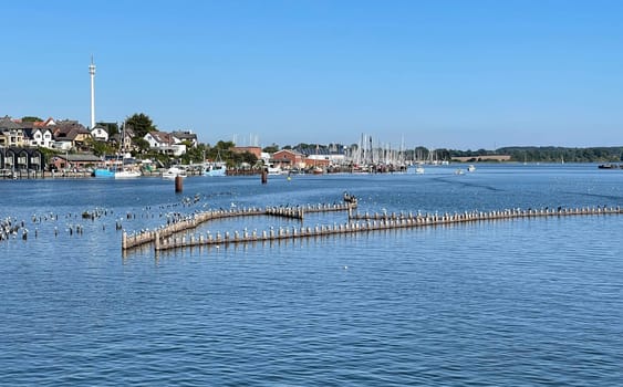 Herring fence in the town of Kappeln is a unique document of fishing in the Schlei. It is the last functioning herring fence in Europe. Herring fence in the town of Kappeln is a unique document of fishing in the Schlei. It is the last fully functional herring fence in Europe.