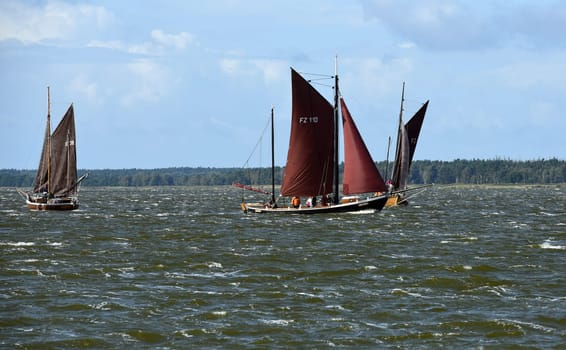 Zeesboot regattas take place annually in the Boddenlandschaft in Mecklenburg-Vorpommern. Zeesboot regattas take place annually in the lagoon landscape in Mecklenburg-Western Pomerania.