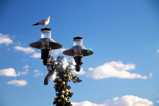 The seagull on the street lamps in Christmas time with cloudy skies and silver tuft