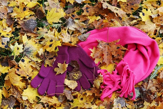 A pink scarf and purple gloves lie on colorful leaves on a cold autumn day