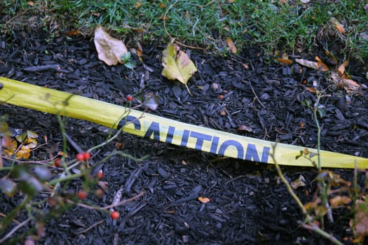 The yellow Caution tape laying on the ground with the soil and the grass with spare leaves