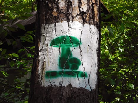 a painted mushroom on a tree signifying a mushroom trail