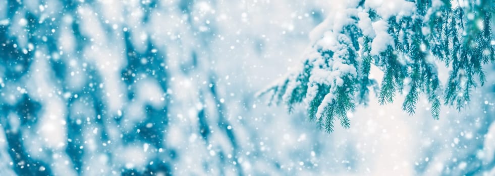 Beautiful view of the fir twigs with fluffy snow on them in snowfall. Panorama of the winter forest in blizzard.