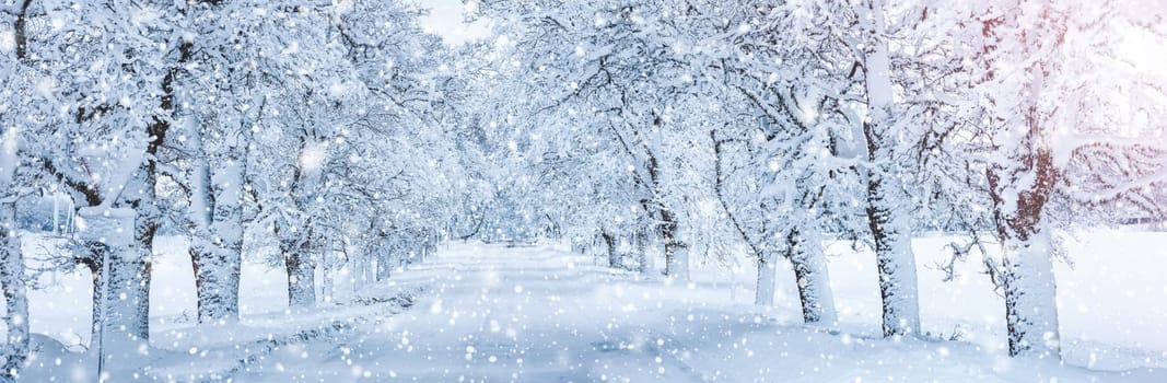 Road covered by snow in snowy morning in snowfall. Panoramic view of the beautiful way in snowy natural park.