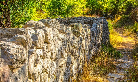 The old stone fence and path in a green summer forest. Selective focus