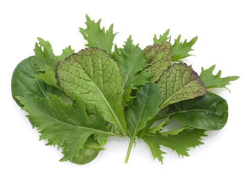 Asian salads are often available all year round. It is used as a salad as well as a vegetable side dish.