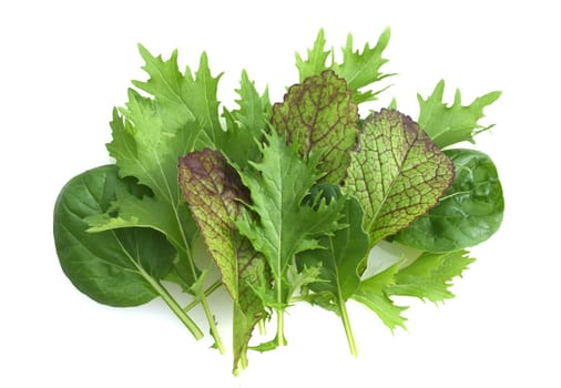 Asian salads are often available all year round. It is used as a salad as well as a vegetable side dish.