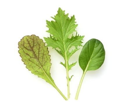 Asian salads are often available all year round. It is used as a salad as well as a vegetable side dish.