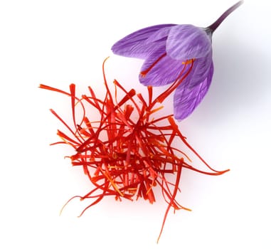 Saffron crocus has three red saffron fawns in the flower which are among the most expensive spices