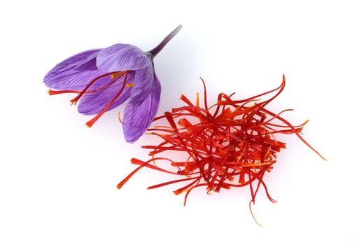 Saffron crocus has three red saffron fawns in the flower which are among the most expensive spices
