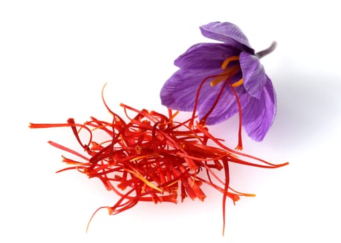 Saffron crocus has three red saffron fawns in the flower which are among the most expensive spices