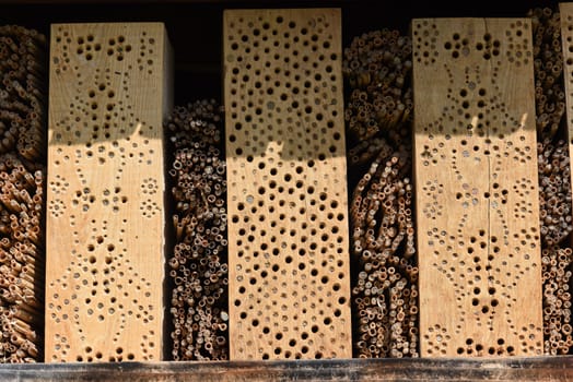 Insect hotels serve insects,especially wild bees,as a shelter and breeding ground.