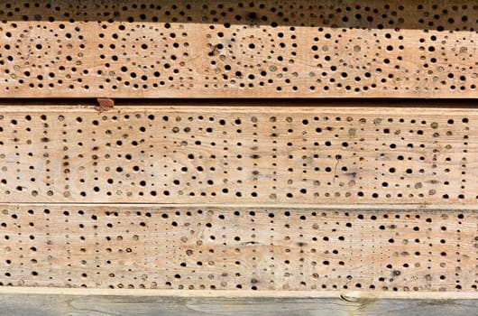 Insect hotels serve insects,especially wild bees,as a shelter and breeding ground.