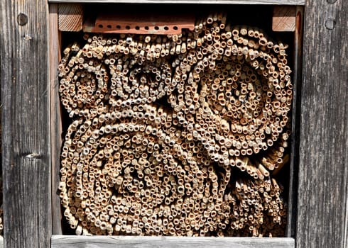 Insect hotels serve insects,especially wild bees,as a shelter and breeding ground.