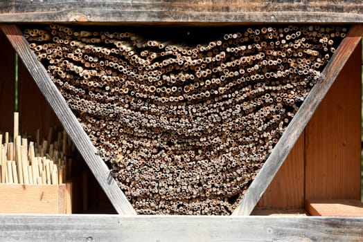 Insect hotels serve insects,especially wild bees,as a shelter and breeding ground.