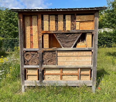 Insect hotels serve insects,especially wild bees,as a shelter and breeding ground.