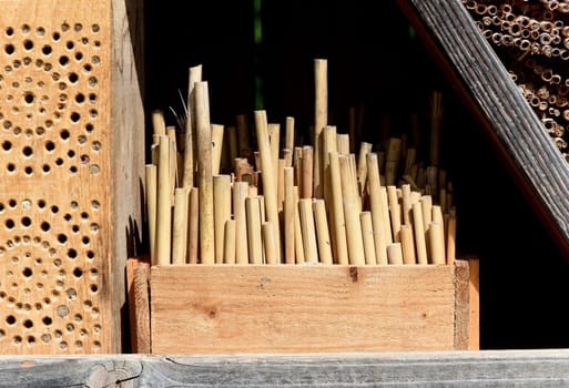 Insect hotels serve insects,especially wild bees,as a shelter and breeding ground.