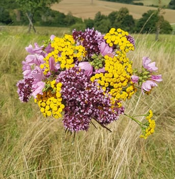 Herbal bouquet with many medicinal and wild plants.