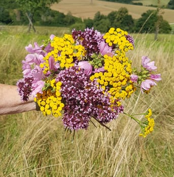 Herbal bouquet with many medicinal and wild plants.