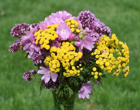 Herbal bouquet with many medicinal and wild plants.