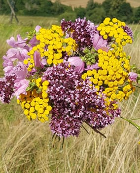 Herbal bouquet with many medicinal and wild plants.