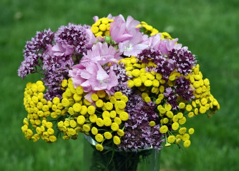 Herbal bouquet with many medicinal and wild plants.
