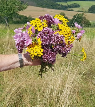 Herbal bouquet with many medicinal and wild plants.