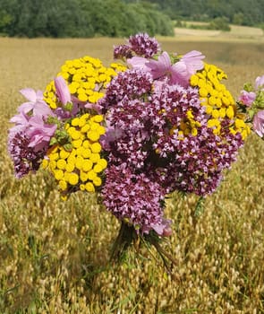 Herbal bouquet with many medicinal and wild plants.