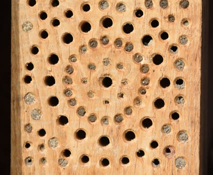 Insect hotels serve insects,especially wild bees,as a shelter and breeding ground. Insect hotels serve insects,especially wild bees,as a shelter and breeding ground.