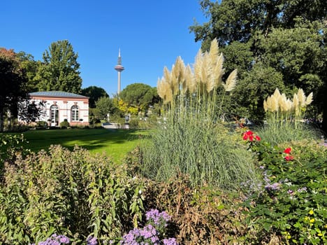 Palmengarten Frankfurt is located in the Westend district and is the second botanical garden in Frankfurt am Main. At the northeast corner of the 22-hectare site is the Botanical Garden. Palmengarten Frankfurt is located in the Westend district and is the second botanical garden in Frankfurt am Main. The Botanical Garden is located on the north-eastern corner of the 22-hectare site.
